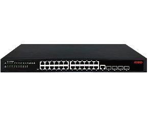 Core Switch  S3028R