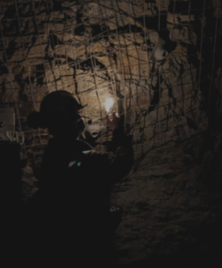 The Complexity of Multi-Parameter Monitoring